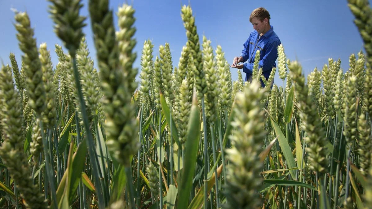 Opskriften på at understøtte ejerskifter er ret entydig. Ingredienserne er lave omkostninger ved ejerskifter, smidige ejerskiftemodeller, sund indtjening i erhvervet og gode produktionsmuligheder. Foto: Colourbox