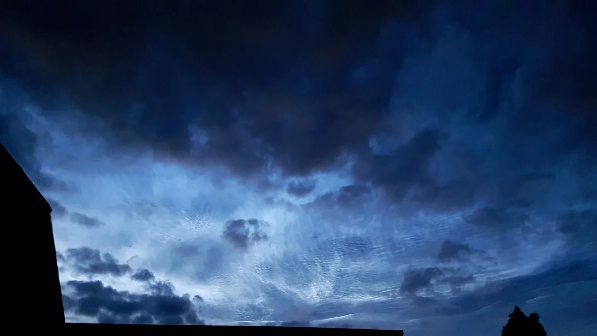 Regn i store dele af USA fik i sidste uge priserne til at falde. Foto: Colourbox.