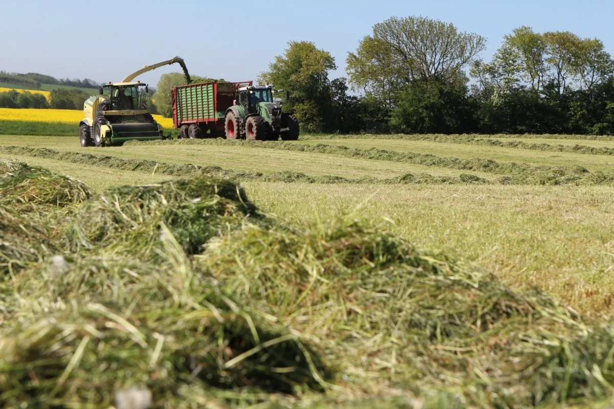 Netop på grund af den ekstraordinære våde og kolde maj, er der forskel på, hvornår der er blevet høstet første slet. Nogle har høstet første slæt midt i maj, og andre først i starten af juni. Foto: Christian Carus