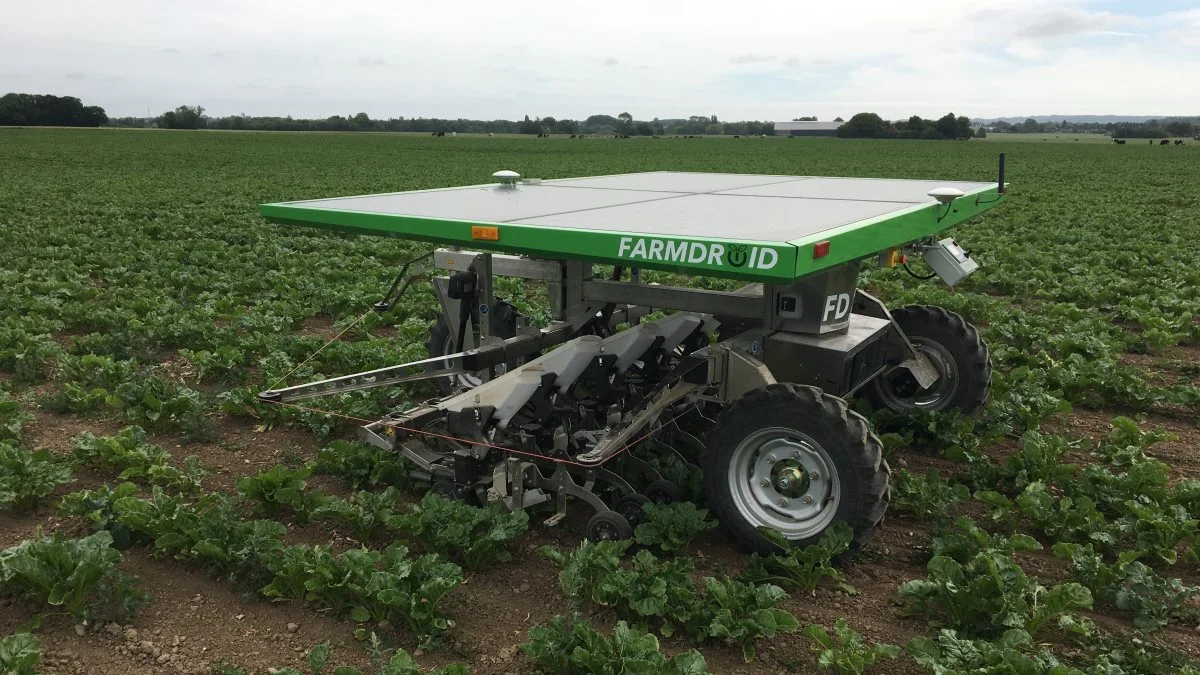 Farmdroid-robotten, der de sidste tre år har passet 18 hektar med økologiske sukkerroer hos Benjamin Christensen, Pollerup Hovgård ved Stege på Møn. Fotos: Leif Jensen, Yding Smedie og Maskiner