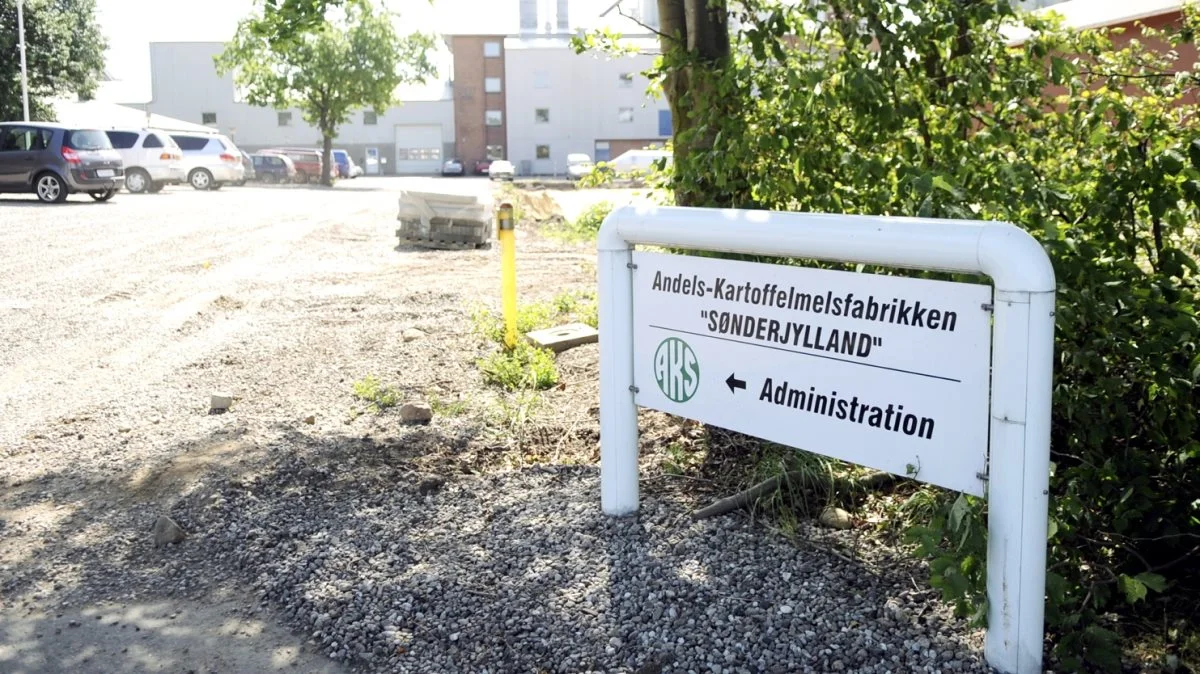 Det er lykkedes Andels-Kartoffelmelsfabrikken Sønderjylland at holde et fornuftigt niveau og dermed opnået tilfredsstillende årsresultat. Arkivfoto