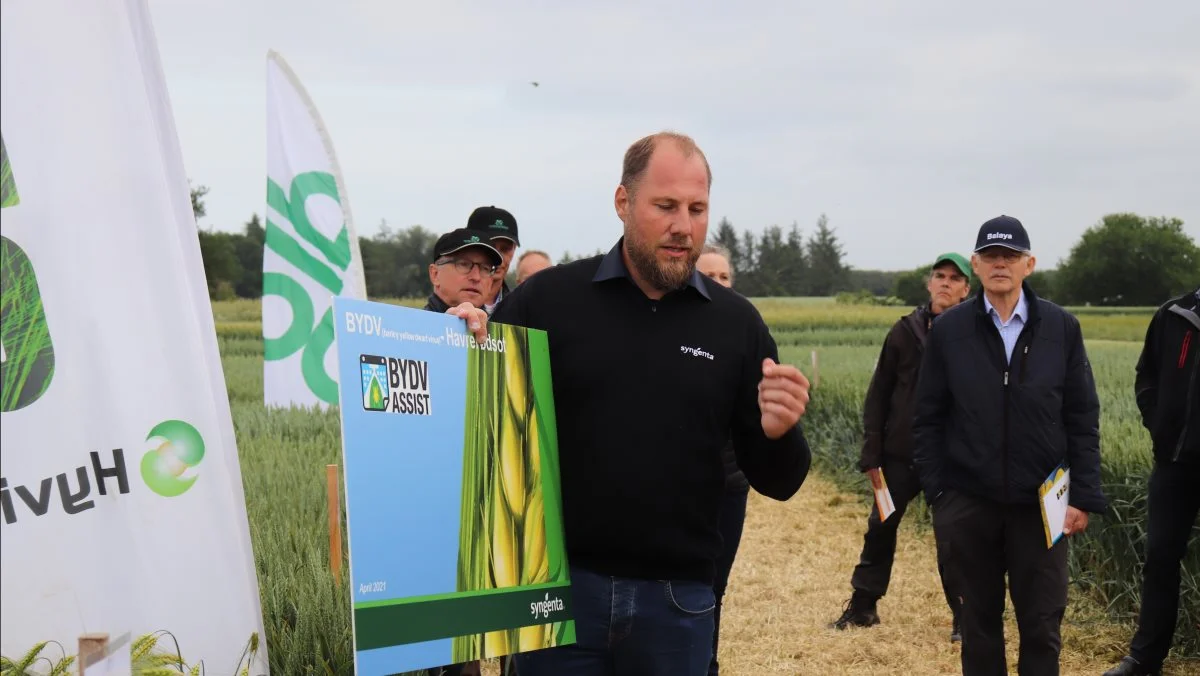 Torben Sørensen fra Syngenta præsenterer en ny app til at forudsige behovet for bekæmpelse af lus i korn om efteråret for at undgå smitte med havrerødsot. Fotos: Jørgen P. Jensen
