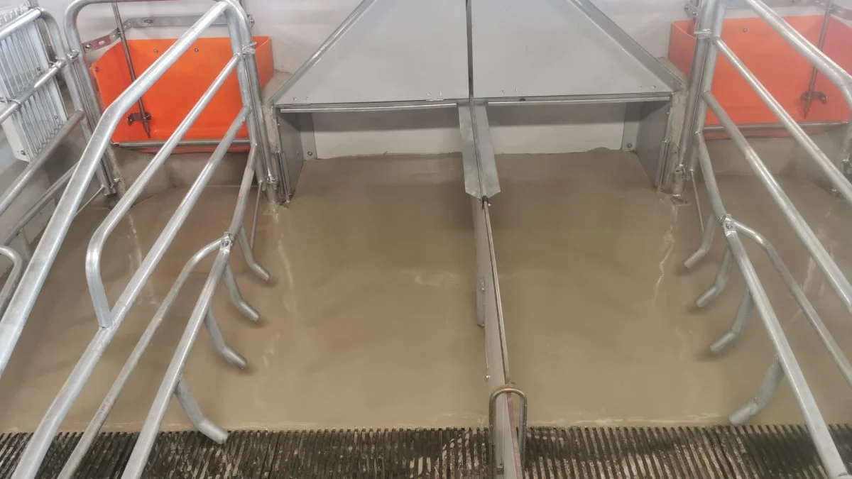 Alle de nye Velosit-produkter fra Schmidt Coating ApS er fremstillet af en CSA-cement, der brændes ved en lavere temperatur. Her er den faste del af gulvene i farestierne udført i Velosit SL502-flydespartel. Foto: Schmidt Coating ApS