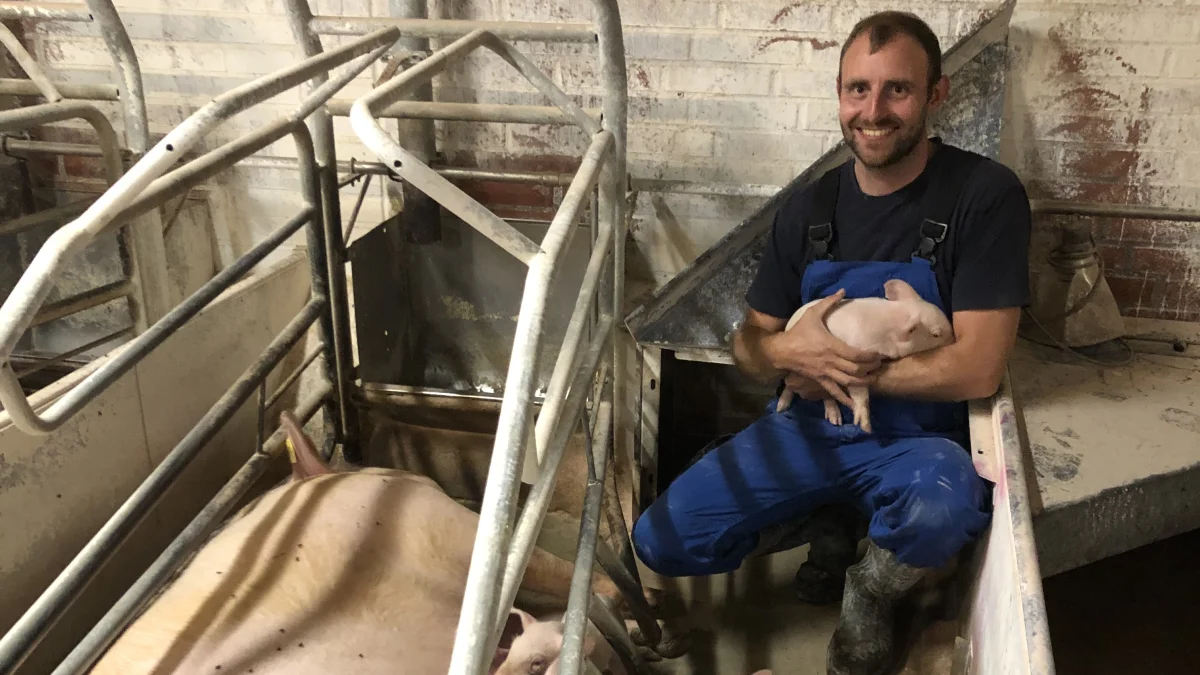 Schmidt Coating ApS lavede for nylig nye gulvbelægninger i 25 farestier på Holbækgaard med den nye, selvnivellerende Velosit SL502 flydespartel. Driftsleder Flemming Lassen er godt tilfreds med resultatet. Han regner med også at få lavet nye gulvbelægninger i klimastaldene med den samme flydespartel. Foto: Holbækgaard