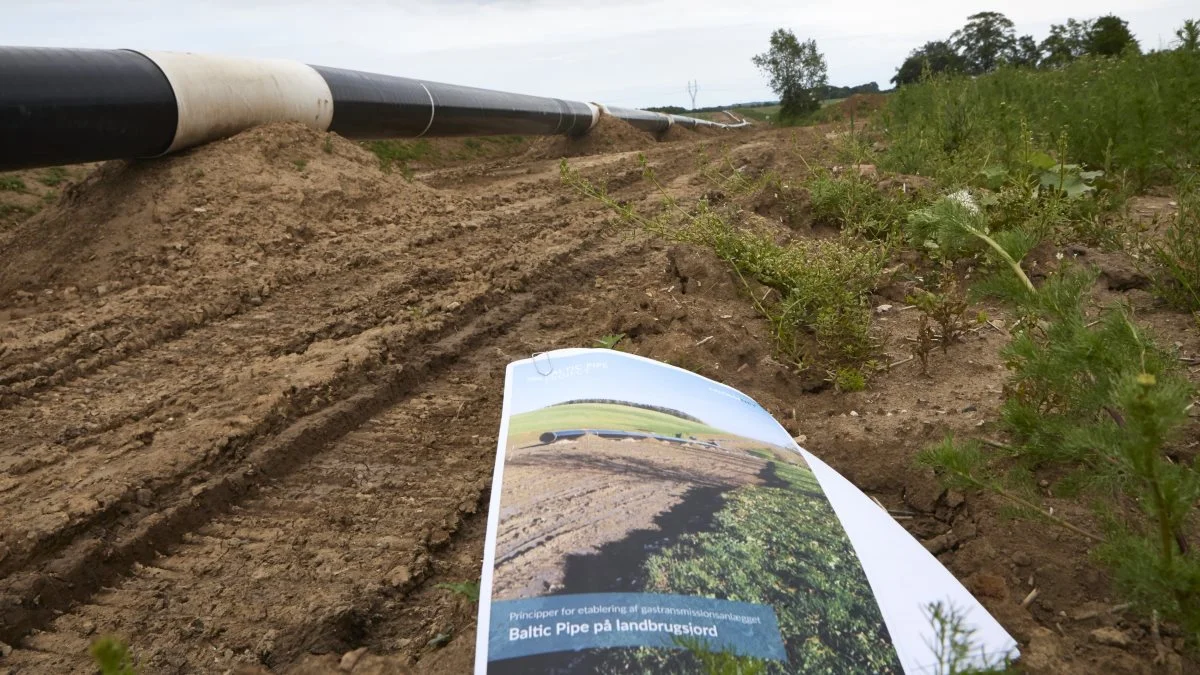Denne folder indeholder praktiske forhold i forbindelse med etableringen af Baltic Pipe-gasledningen, men ingen aftaler om erstatningerne for de enkelte berørte lokaliteter, påpeger fynske landboforeningsformænd. Foto: Erik Hansen