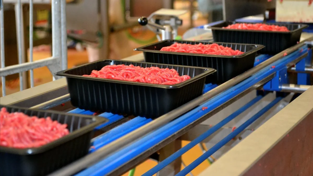 Danish Crown Beef vil meget gerne have flere dyr til slagtning. Arkivfoto
