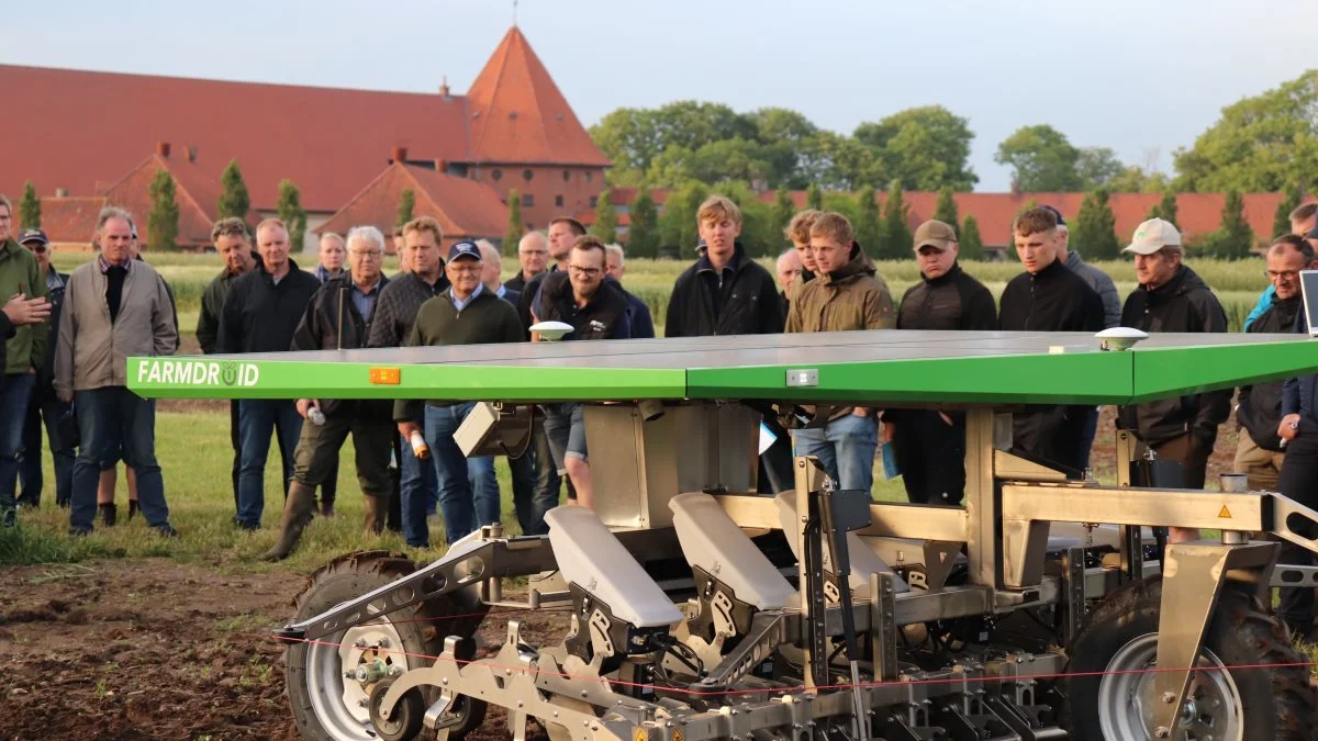Farmdroid-robotten, som kører udelukkende på el fra egne solceller, kender hvert enkelt frøs placering efter såningen, og kan derfor rense ukrudtet udenom alle planterne. Fotos: Jørgen P. Jensen