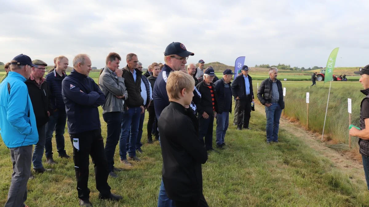 Godt 300 interesserede planteavlere deltog ved rundvisningerne til de mange parceller med nyheder og information de to aftener på Bramstrup Gods.

