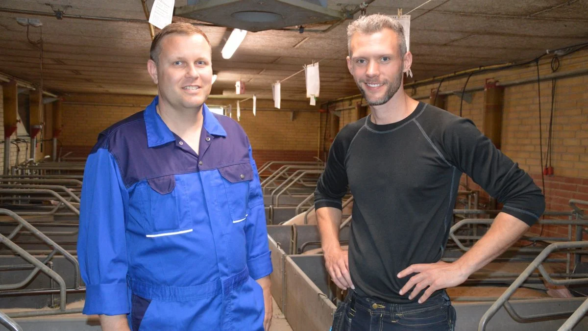 Emil Fischer Rasmussen (th) fra Lundagergaard ved Mesinge takkede for nogle måneder siden ja til at afprøve den zinkfri løsning til fravænningsgrise, som Cargill tilbyder, og det er lykkedes med uændrede produktionsresultater. Han ses her i stalden sammen med Kristian Lauridsen fra Cargill. Fotos: Camilla Bønløkke