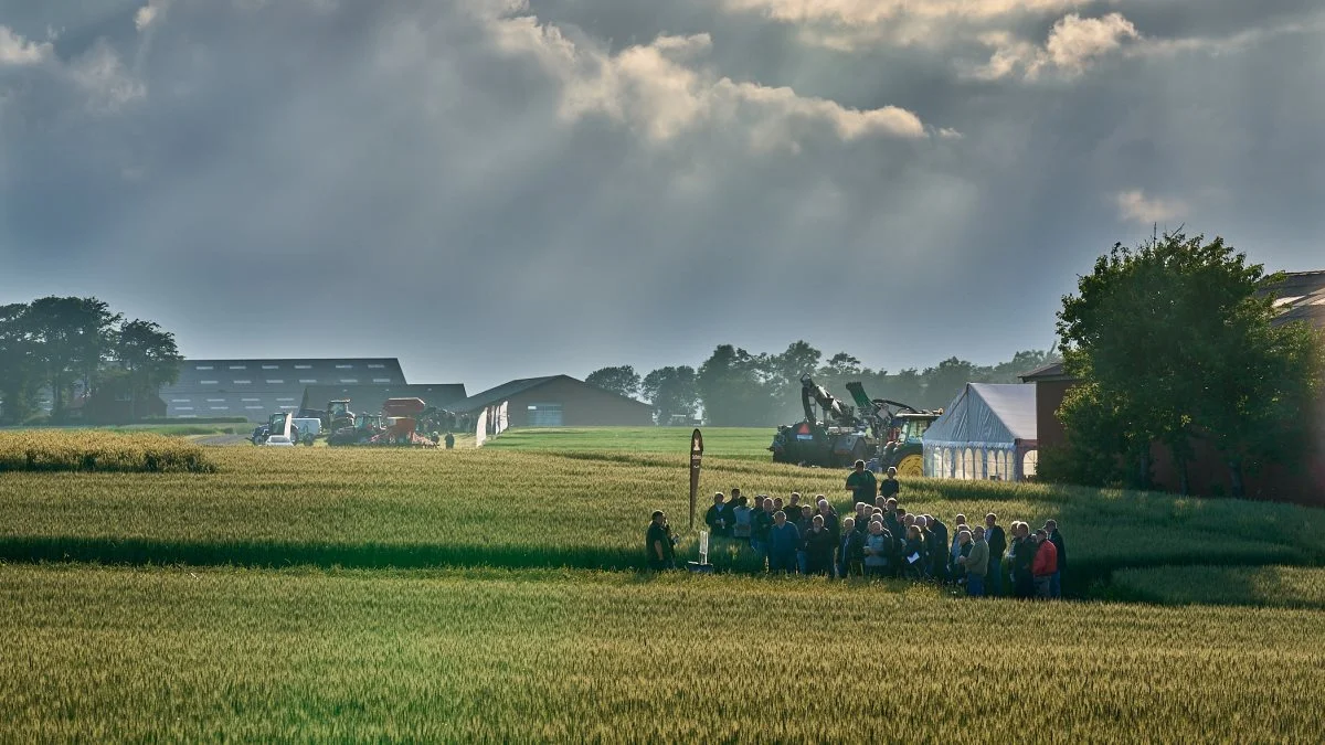 En flot sommeraften dannede rammen om planteaftenen på Ytteborg. 

