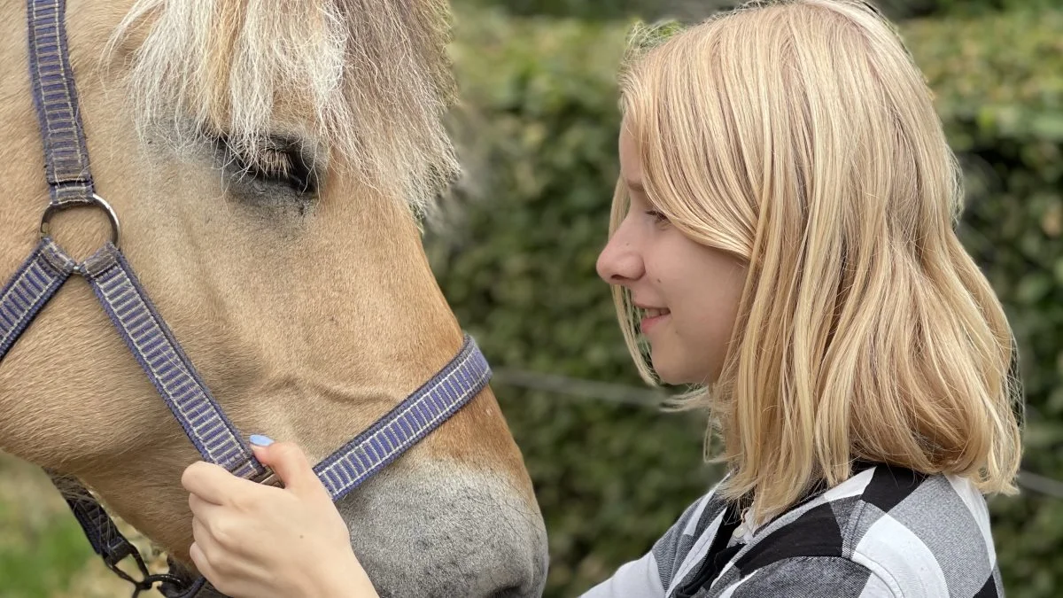 Hestene fik også meget opmærksomhed.