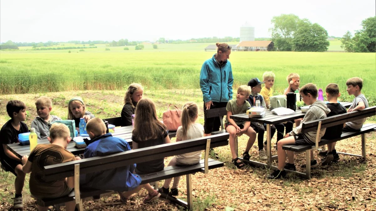 Børnene på Toubroskolen holdt kort før sommerferien havefest, hvor de fejrede årets første høst i deres nye skolehave. Foto: Djursland Landboforening.