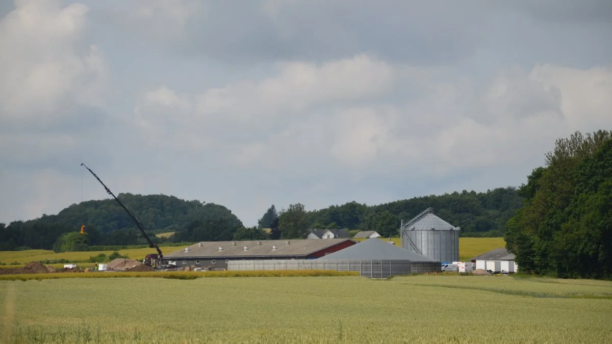 Martin Boe Madsen har i dag en samlet produktion på 600 søer, 27.000 slagtesvin og 325 hektar planteavl. Når byggeriet på ejendommen på Tøjstedvej ved Hårby står færdigt til november, kan han producere tæt ved 50.000 slagtesvin årligt. Fotos: Camilla Bønløkke