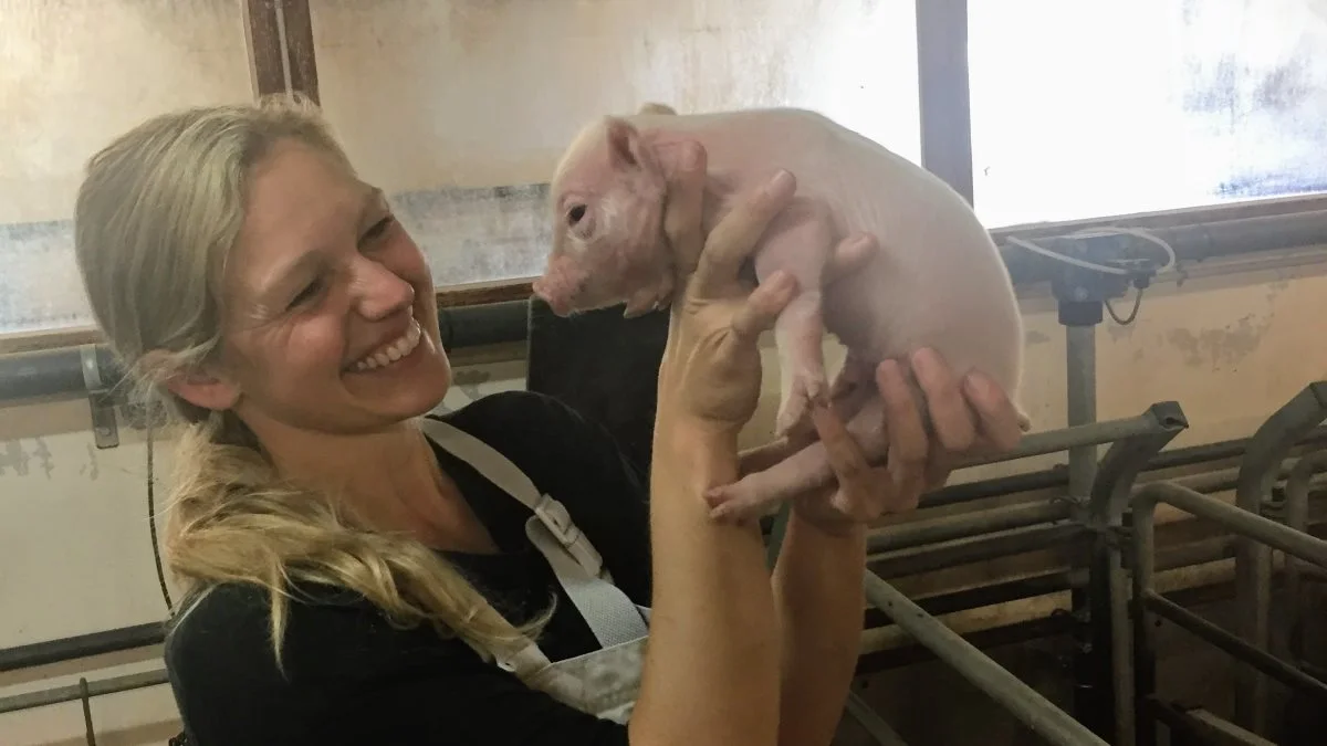 Øget vægt ved fravænning og bedre pattegriseoverlevelse giver smil på læberne, også hos Betinna Green Kanstrup, VKST. Foto: VKST