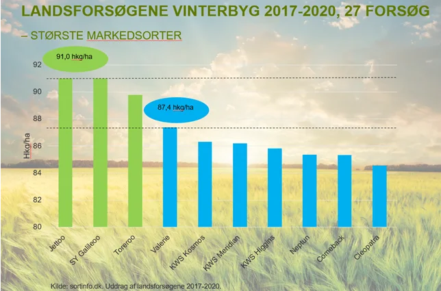 Bedste hybridsorter. Grafik: Syngenta