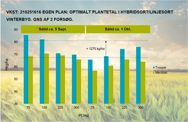 På Syngentas hjemmeside kan man få hjælp til at fastsætte den anbefalende udsædsmængde. Ved tidlig såning 120-130 planter pr. kvadratmeter, i gunstigere områder en smule lavere. - Med de nye priser på udsæd af hybridvinterbyg er vi her nede på en merpris på cirka 250 kr./ha i forhold til andre vinterbygsorter. Det er vores klare opfattelse, at de opnåede netto merudbytter herved er i niveauet 500-1.000 kg, siger produktkonsulent Mogens Steenholt Mogensen fra Syngenta.