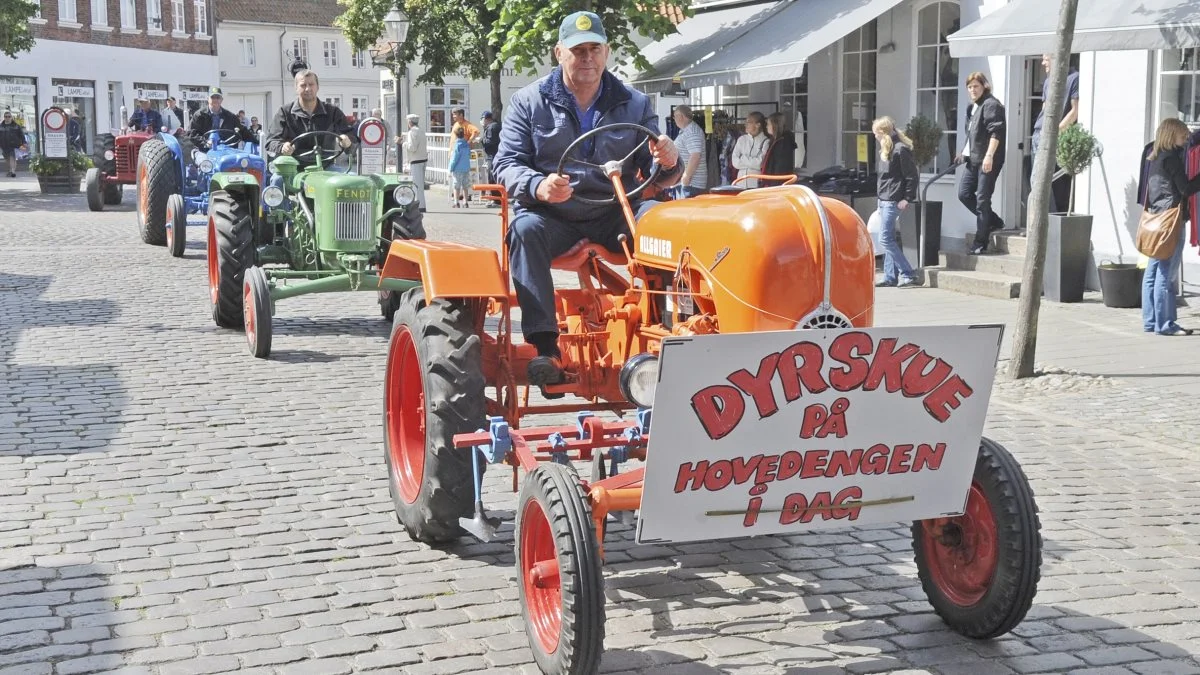 Veterantraktorer i optog på vej til Ribe Dyrskue – og senere på dyrskuepladsen. De gamle køretøjer er en fast bestanddel af det historiske dyrskue.