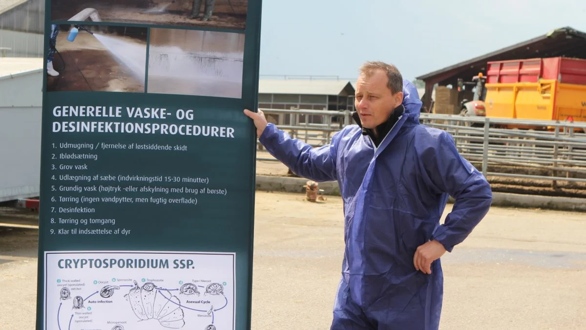 Dyrlæge Lars Kunstmann, Huwepharma, har de seneste år set flere og flere udfordringer med cryptosporidium. Det skal bedre rengøring og desinfektion rette op på. Fotos: Christian Carus