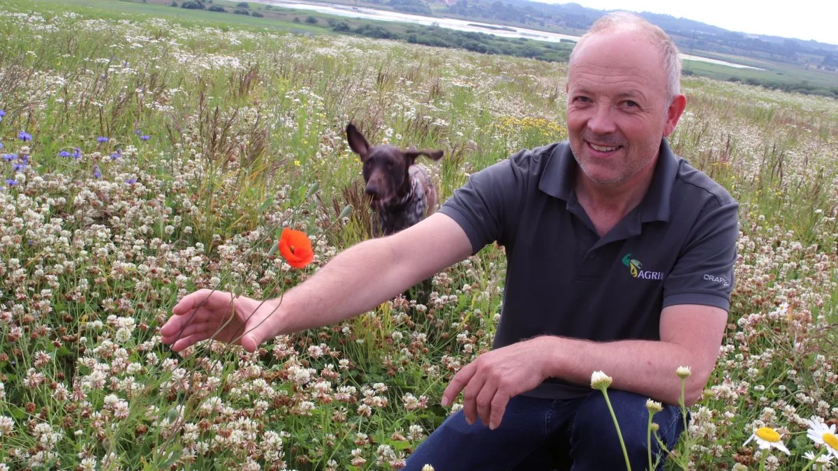 Griseproducent Lars Olsen dyrker både biodiversitet og landbrug på sin ejendom i Halkær ved Nibe. Her er han i kløvermarken, der fungerer som gødning til næste afgrøde, og som skaber biodiversitet med sine mange blomster.