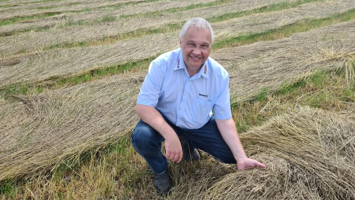 Regn havde udsat S. D. Kjærsgaards demotur i år, men det tørre og varme vejr hjalp, så man kunne komme afsted. Her ser Case IH-sælgeren Peter Møller afgrøderne an. 
