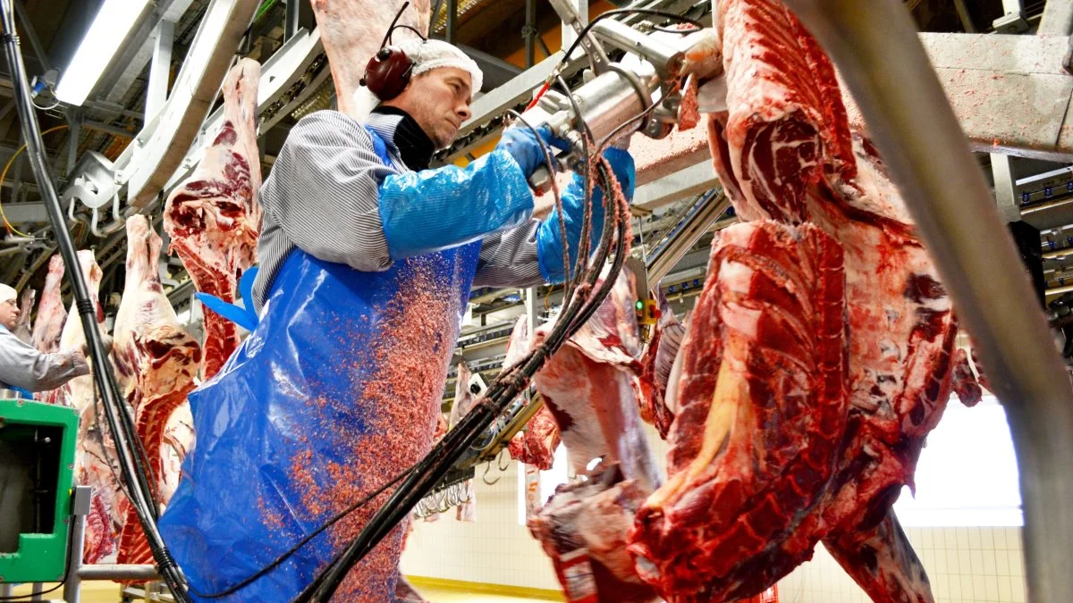 Bacon har været en stor del af Tulips DNA siden 1912, og nu skrues der yderligere op, eftersom Tulip Food Company har købt den hollandske Baconspecialist Zandbergen.