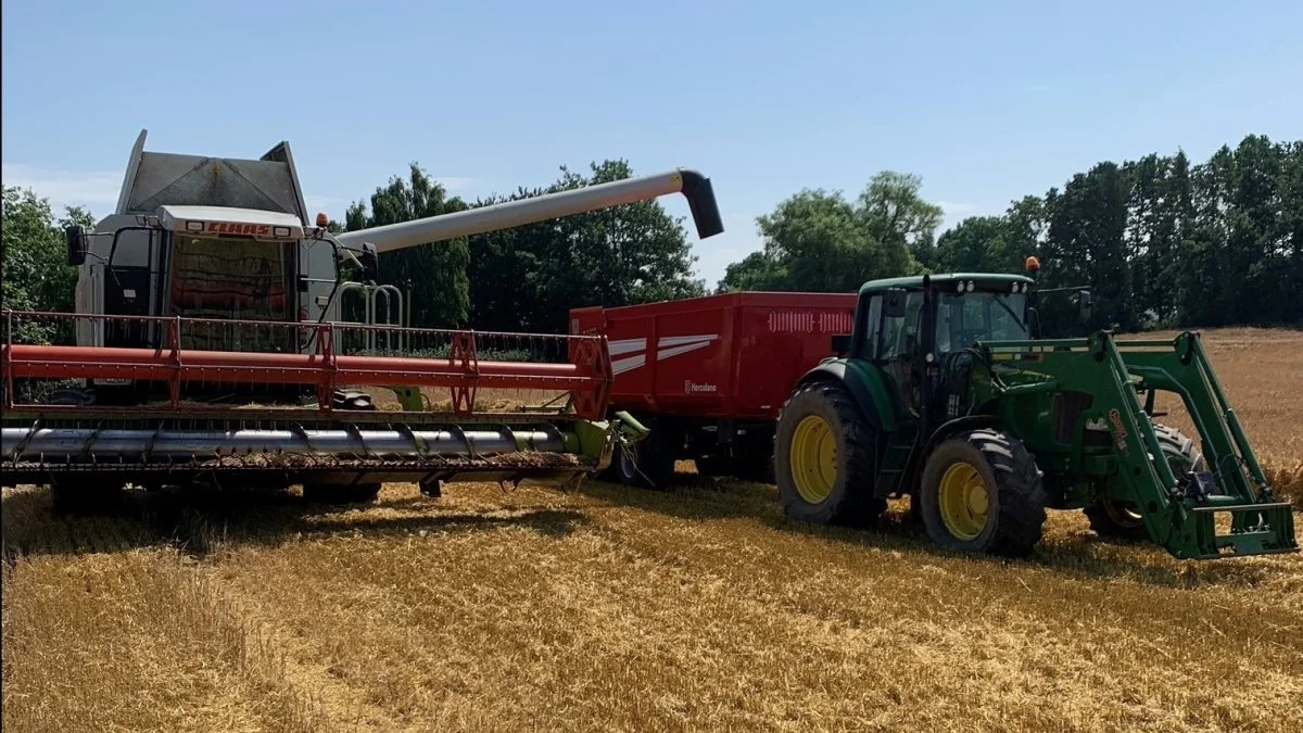 Den nyindkøbte 25 fods Claas Lexion 480-mejetærsker er klar til de 22 hektar med vinterbyg med sorten KWS Patriot. Fotos: Martin Hovmand