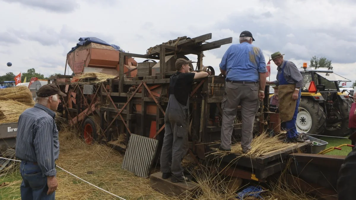 Lørdag den 14. august holder medlemmerne i Motor og Veterantraktor Klubben Fyn hygge og høstdag i Øster Hæsinge. Arkivfoto: Erik Hansen

