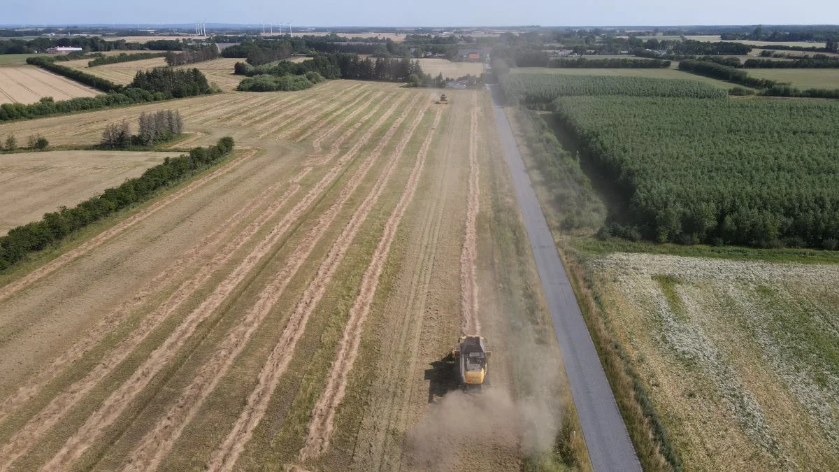 Gandrup har været et af de områder i Nordjylland, der har været hårdest ramt af hedebølge og tørke, hvilket har tvangsmodnet mange afgrøder.