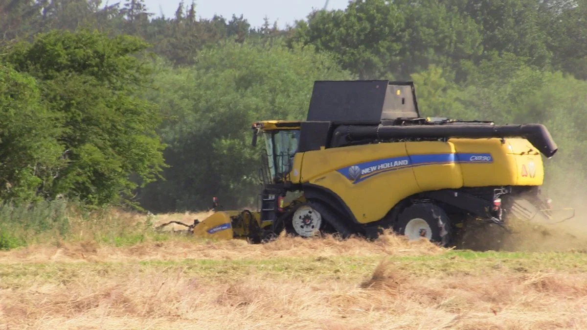 New Holland-rysteren kører stabilt på fjerde sæson.