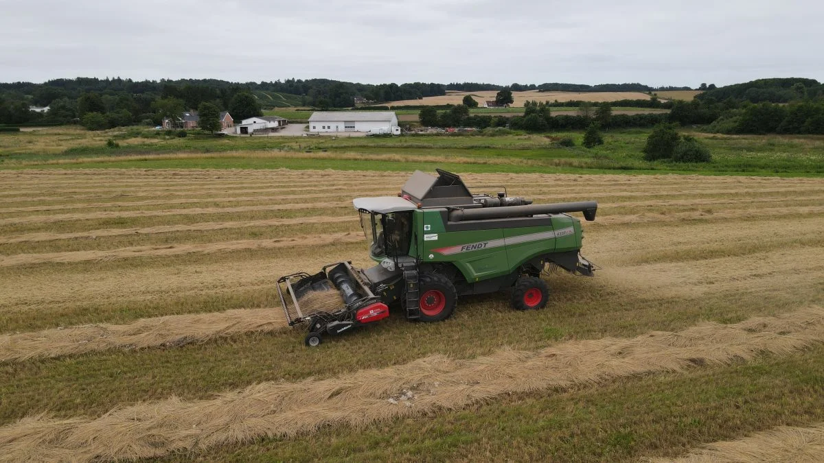 Selvom vejret ikke er optimalt, kører Fendt 6335'eren derudaf for at samle rajsvinglen op ved Haarby på Fyn. Foto: Alexander Dornwirth