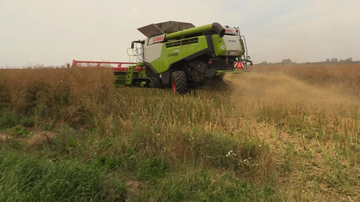 Peter Kiær og Anders Nyholt købte sidste år en brugt Claas Lexion 770 Cemos Automatic.