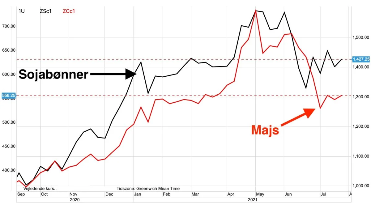Ugegraf: CBOT Majs og sojabønner i US-cent pr. bushel
Prisen majs og sojabønner i USA genfinder lidt tiltrængt prisstøtte efter nye tal fra det amerikanske landbrugsministerium, der viser en overraskende kvalitetsnedgang i de to afgrøder.