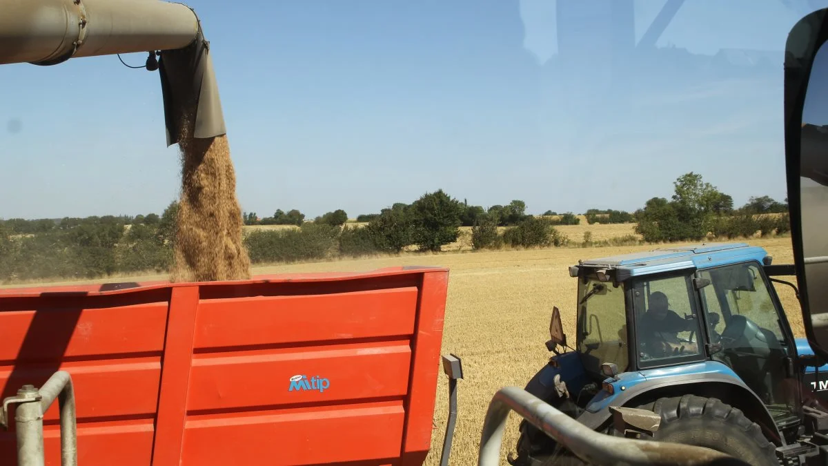 - Vi anbefaler, at du kun handler den mængde foder, du har korn til i forholdet 1.000 kg foder mod 700 kg korn, lyder det fra AgroMarkets. Arkivfoto