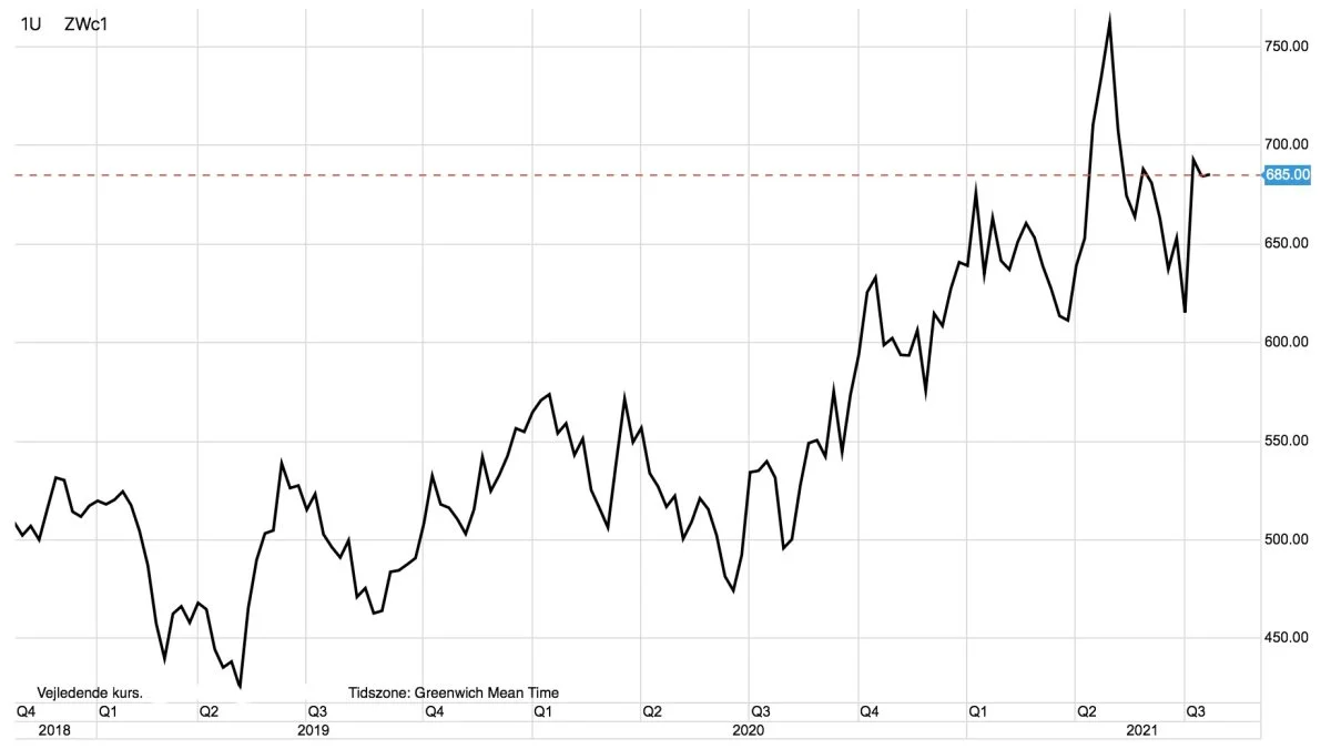 CBOT-hvede i US-cent pr. bushel
En ugunstig situation for den amerikanske vårhvede må forventes at holde den amerikanske hvedepris i optrend i lang tid fremadrettet.