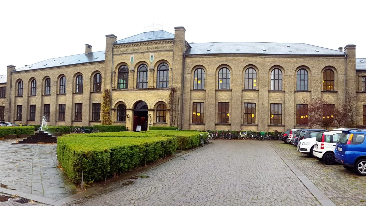 Antallet af optagne på naturresourcer på Science på Københavns Universitet er faldet i år. Uddannelsen kan bruges til at videreuddanne sig til agronom.