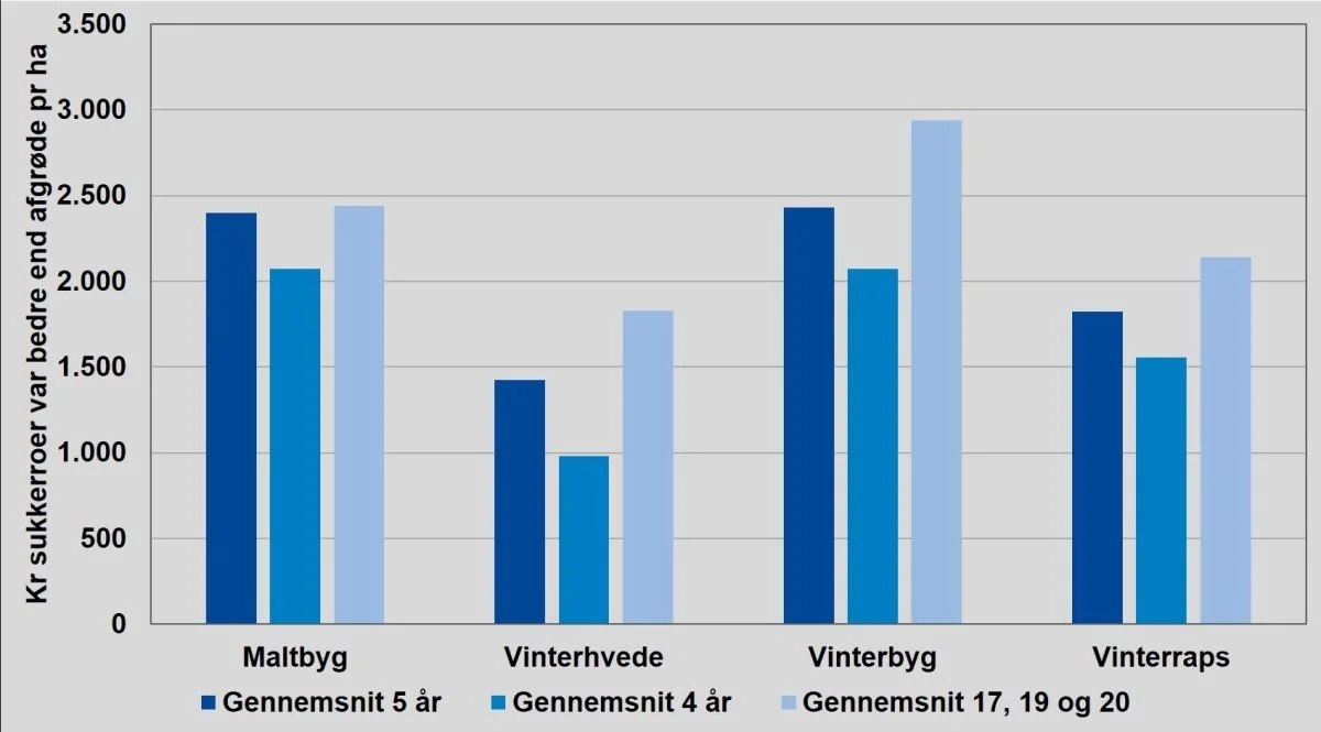 Gennemsnitlig forskel mellem DB2 for sukkerroer og henholdsvis maltbyg, vinterhvede, vinterbyg og vinterraps. Kilde: Nordic Sugar