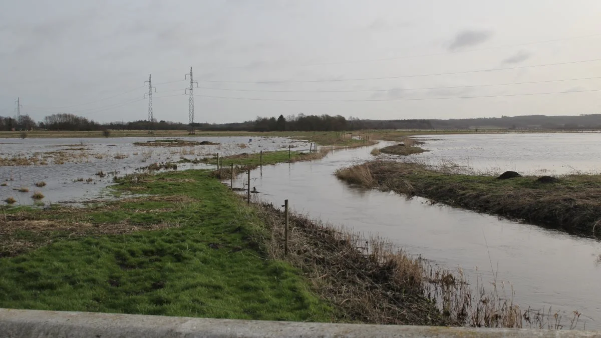 Vandløb har i mange år været en politisk varm kartoffel. Gentagne gange har forskellige parter råbt op om behov for en ny vandløbslov uden, at der er sket noget. Foto: Jesper Hallgren