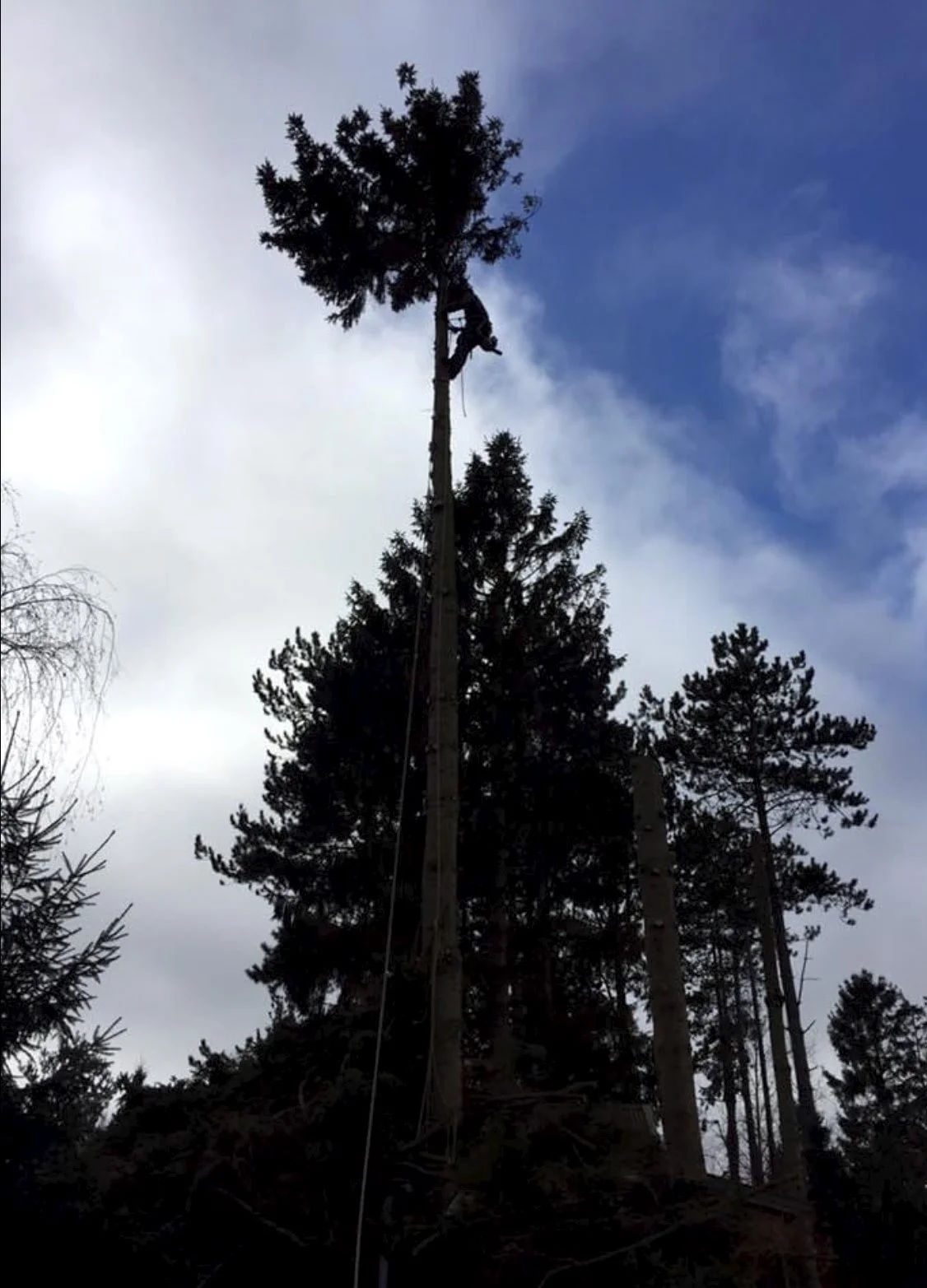 Mads Enemark stortrives med de forskellige arbejdsopgaver, som Treecut kan løse. Både dem højt oppe i træerne og dem med fast underlag under fødderne.