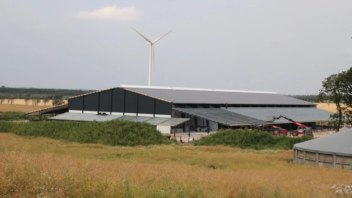 Den nye stald er en Agrifarm konceptstald med naturlig ventilation. Stalden er 100 meter lang. 