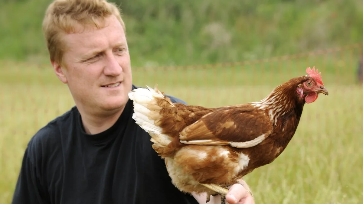 - Når forbrugerne efterspørger bæredygtige fødevarer, er det vores opgave at imødekomme efterspørgslen, siger Paul Erik Jacobsen, der har 1.800 brune Lohmann-høns gående frit.