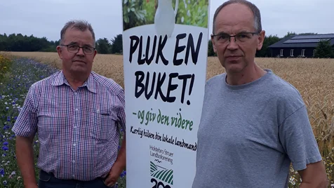 Anders Ørts og Ejvind Hansen har opsat skilte ved alle markerne, så det er tydeligt hvor folk må plukke blomster. Fotos: Holstebro Struer Landboforening