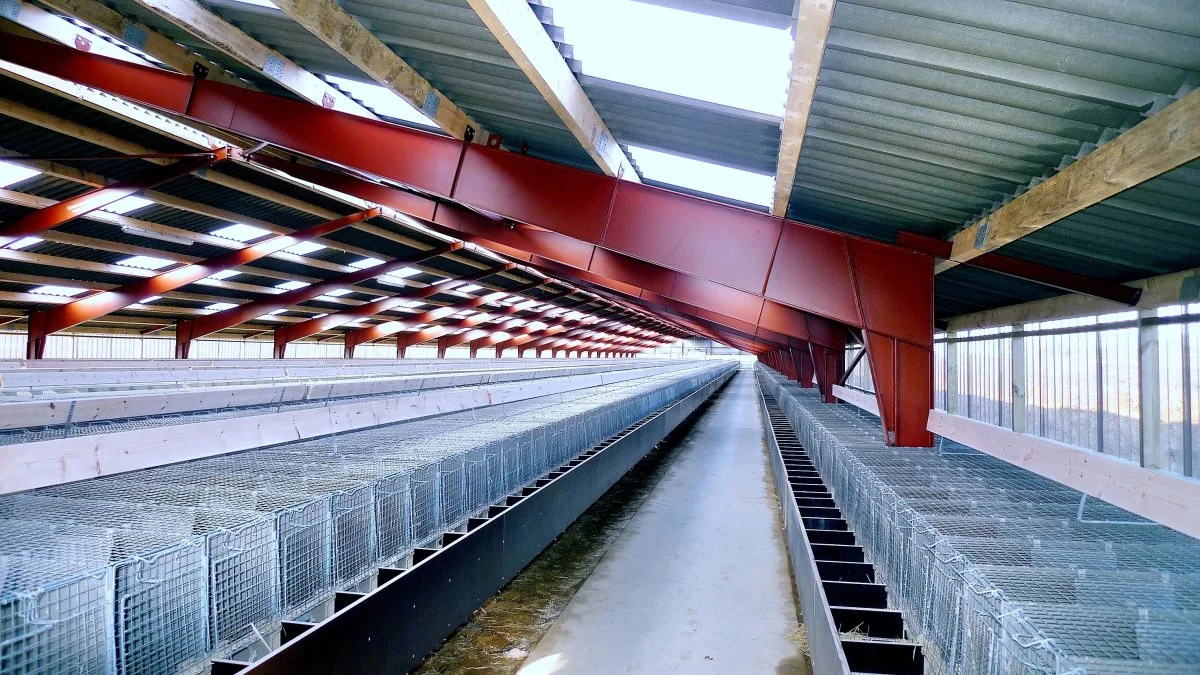 Minkavlerne rådes til at forsikre bygningerne, som var de i drift, og holde bygninger, inventar og maskiner i god og brugbar stand for at være sikker på at få den rigtige erstatning fra staten. 