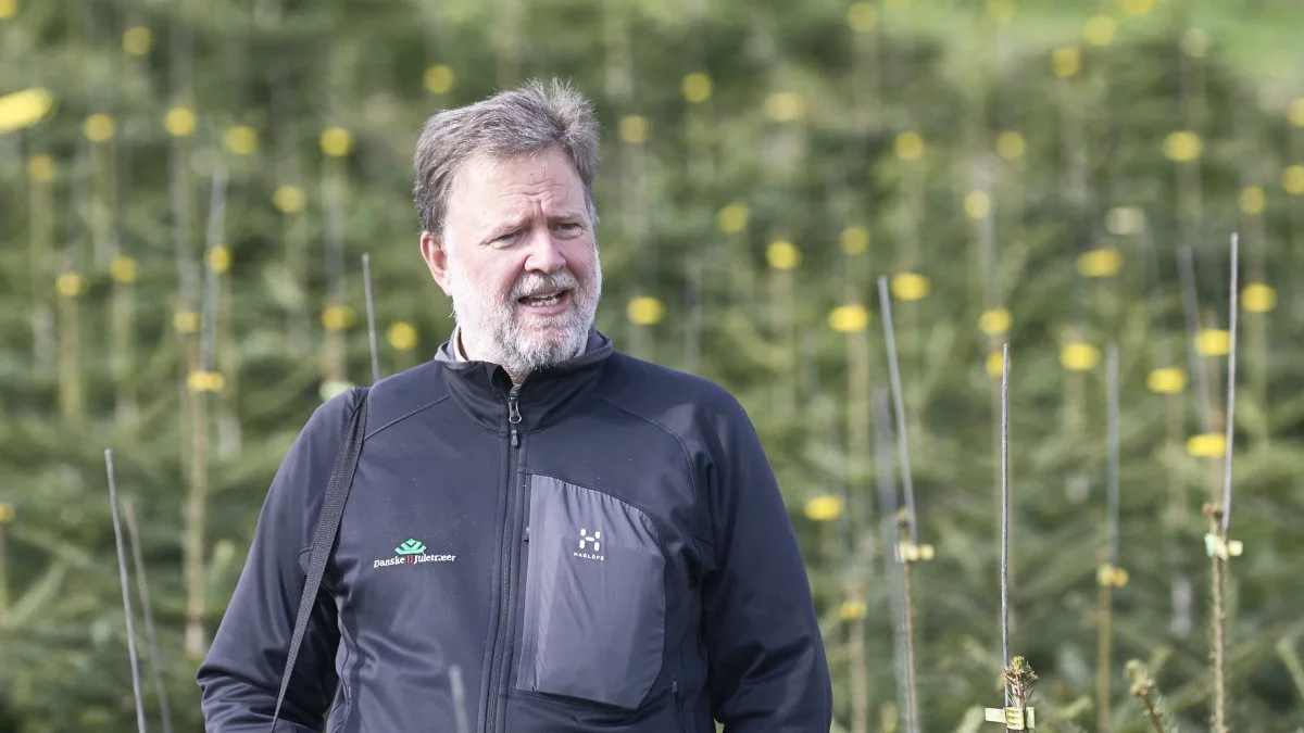 - Certificeringsordningen er baseret på strenge statslige og kommunale regler suppleret med lokale hensyn til flora og fauna, hvor dyrkningen sker med størst mulig hensyntagen til miljø og biodiversitet, forklarer Claus Jerram Christensen, som er direktør i Danske Juletræer. Arkivfoto: Erik Hansen