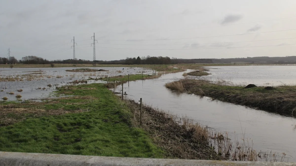 Vandløb har i mange år været en politisk varm kartoffel. Gentagne gange har forskellige parter råbt op om behov for en ny vandløbslov uden, at der er sket noget. Foto: Jesper Hallgren