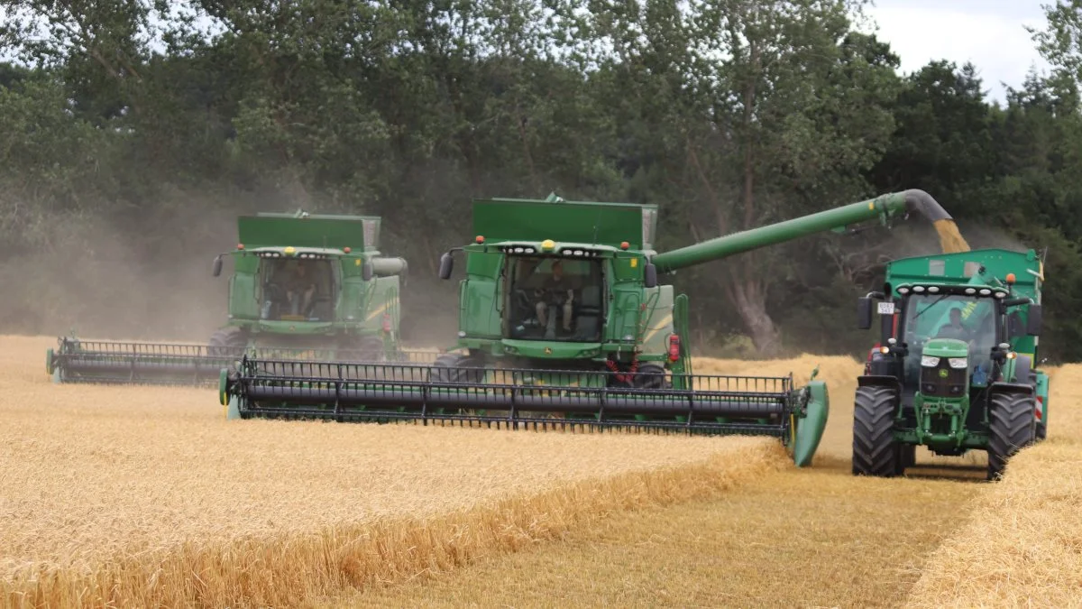 Gavnøs to 30 fods John Deere mejetærskere skal tirsdag nå at høste 40 hektar maltbyg og 10 hektar vinterhvede. Fotos: Jørgen P. Jensen