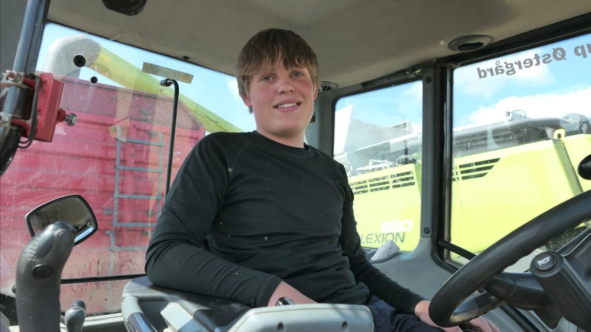 Med initiativrige unge som Malte Jacobsen fra Gl. Rye er der håb for dansk landbrug. Han kontaktede af egen kraft Svejstrup Østergård og skaffede sig en uges høstpraktik, før han på mandag begynder i 9. klasse. Fremtidsdrømme: At blive landmand. Foto: Bøje Østerlund
