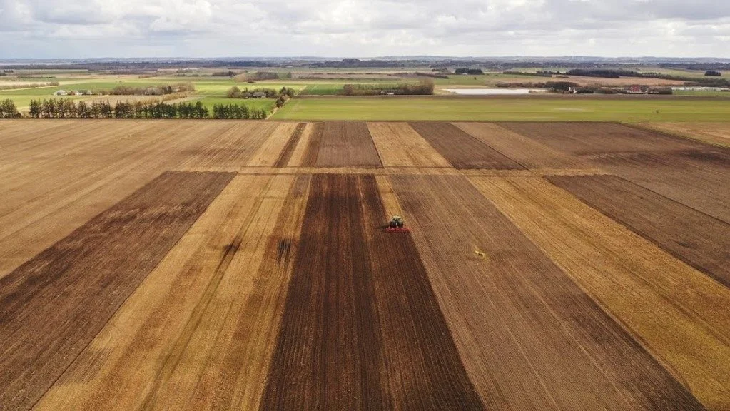 Forsøgene er etableret på marker, som indtil nu har været dyrket med reduceret jordbearbejdning og årets afgrøde er hestebønner.