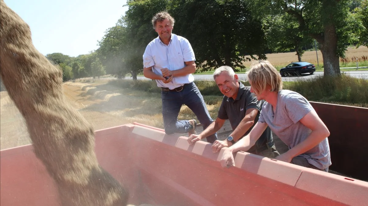 De store smil var fremme i går, da der røg store mængder rug i vognene. Her er det (fra venstre) planteavler Carl Christian Pedersen, planteavlskonsulent Poul Madsen, Agri Nord, og driftsleder Mikkel Rokkjær. Fotos: Agri Nord
