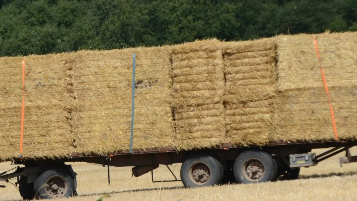 En halmvogn hvor lasten er sikret, dels med stropper og dels ved at fastkile ballerne (de fire baller, som er placeret på tværs ad vognbunden og sat i klemme imellem de øvrige baller). Foto: Byggeri og Teknik