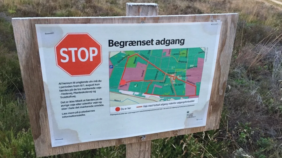 Foto fra Stråsø Plantage af et af de forbudsskilte, der nu er fjernet.